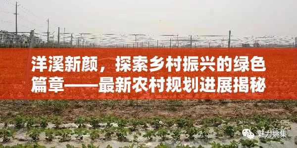 洋溪新顏，探索鄉(xiāng)村振興的綠色篇章——最新農(nóng)村規(guī)劃進(jìn)展揭秘