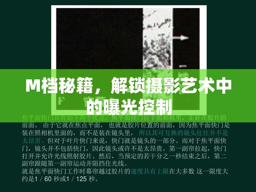 M檔秘籍，解鎖攝影藝術(shù)中的曝光控制