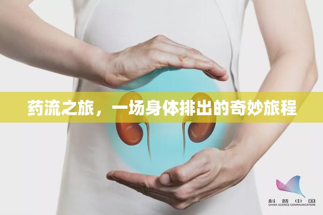 藥流之旅，一場(chǎng)身體排出的奇妙旅程