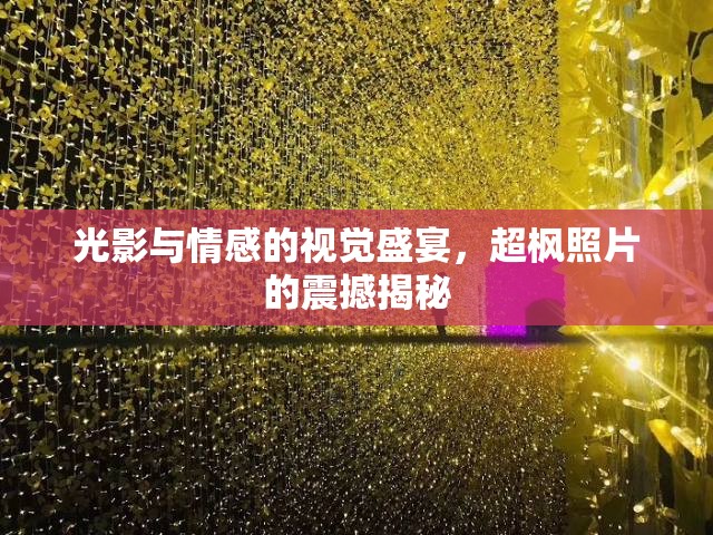 光影與情感的視覺盛宴，超楓照片的震撼揭秘