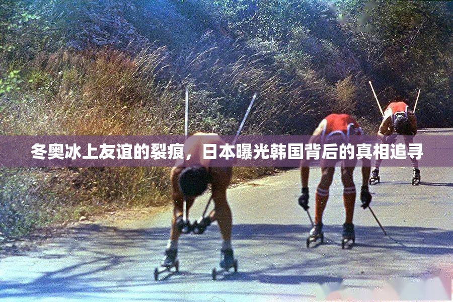 冬奧冰上友誼的裂痕，日本曝光韓國背后的真相追尋