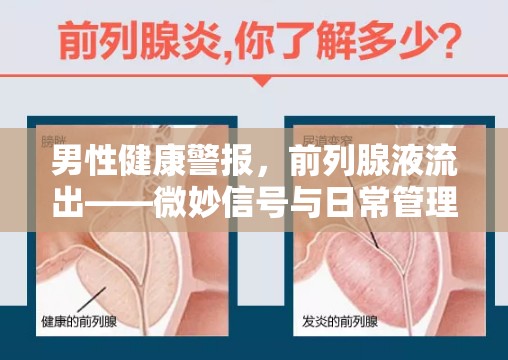 男性健康警報(bào)，前列腺液流出——微妙信號(hào)與日常管理