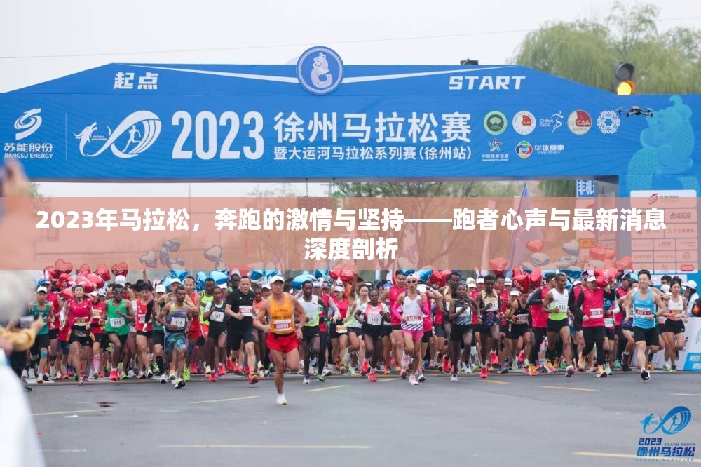 2023年馬拉松，奔跑的激情與堅(jiān)持——跑者心聲與最新消息深度剖析