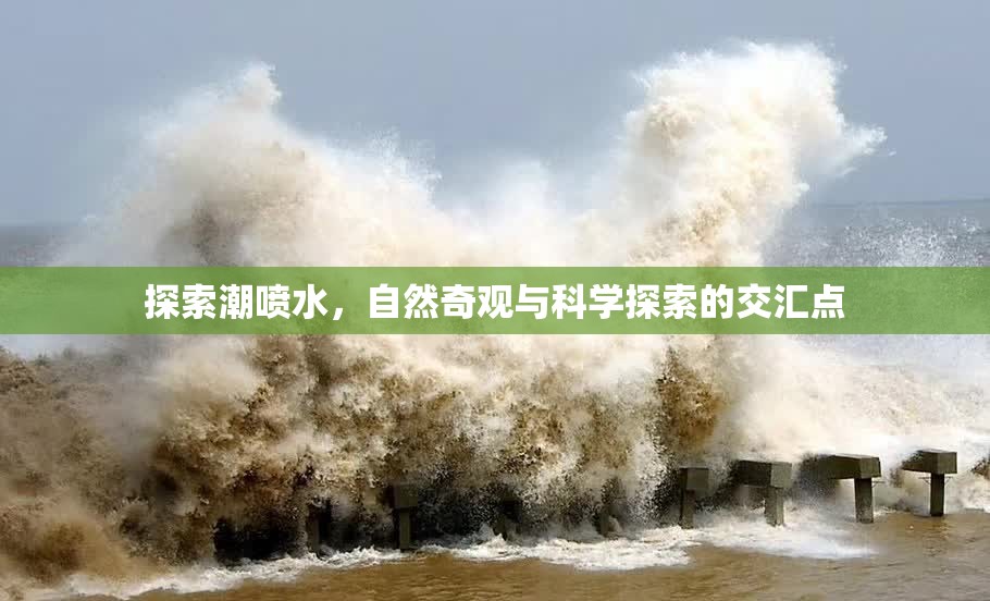 探索潮噴水，自然奇觀與科學(xué)探索的交匯點(diǎn)