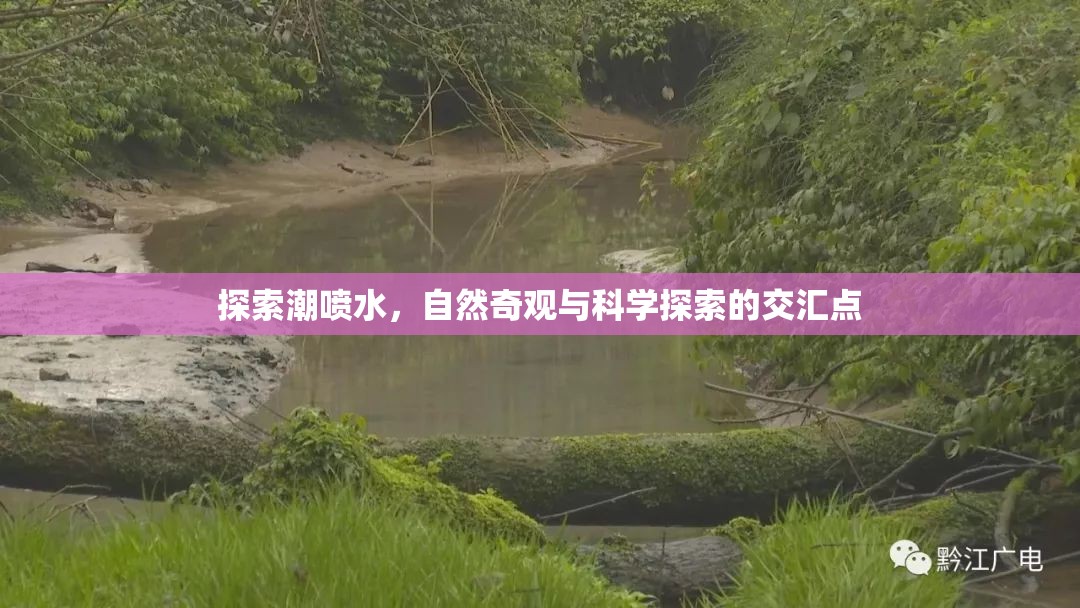 探索潮噴水，自然奇觀與科學(xué)探索的交匯點(diǎn)