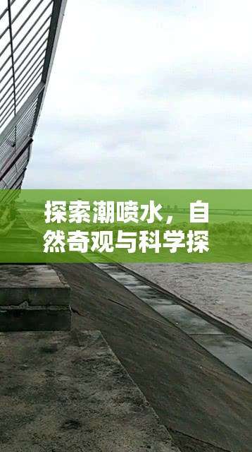 探索潮噴水，自然奇觀與科學(xué)探索的交匯點(diǎn)