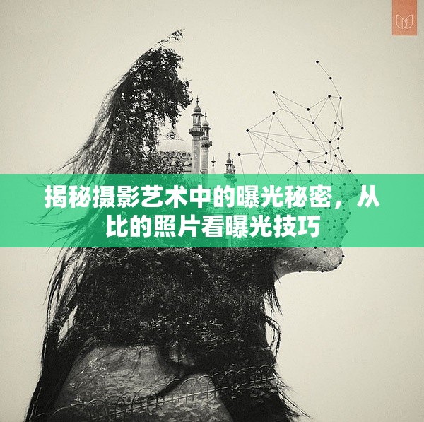 揭秘攝影藝術(shù)中的曝光秘密，從比的照片看曝光技巧