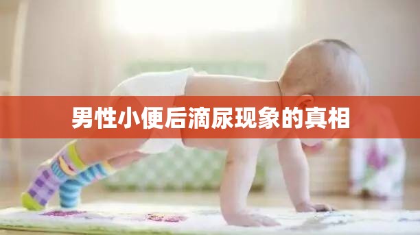 男性小便后滴尿現(xiàn)象的真相