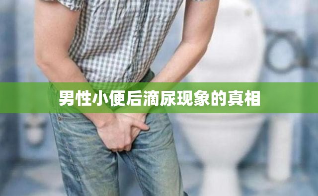 男性小便后滴尿現(xiàn)象的真相
