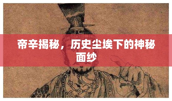 帝辛揭秘，歷史塵埃下的神秘面紗