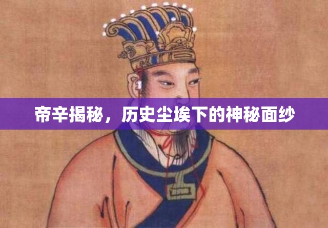 帝辛揭秘，歷史塵埃下的神秘面紗