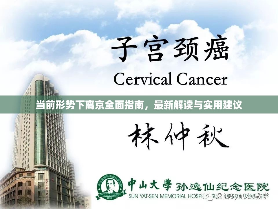 當(dāng)前形勢下離京全面指南，最新解讀與實用建議