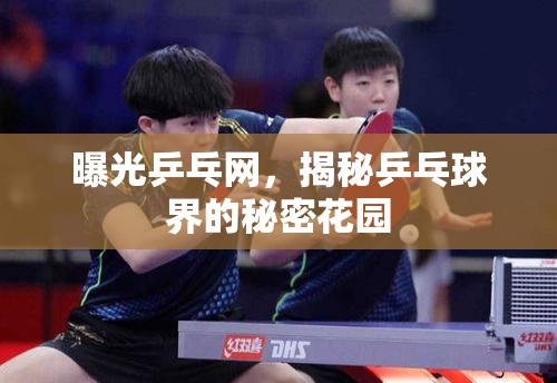 曝光乒乓網，揭秘乒乓球界的秘密花園
