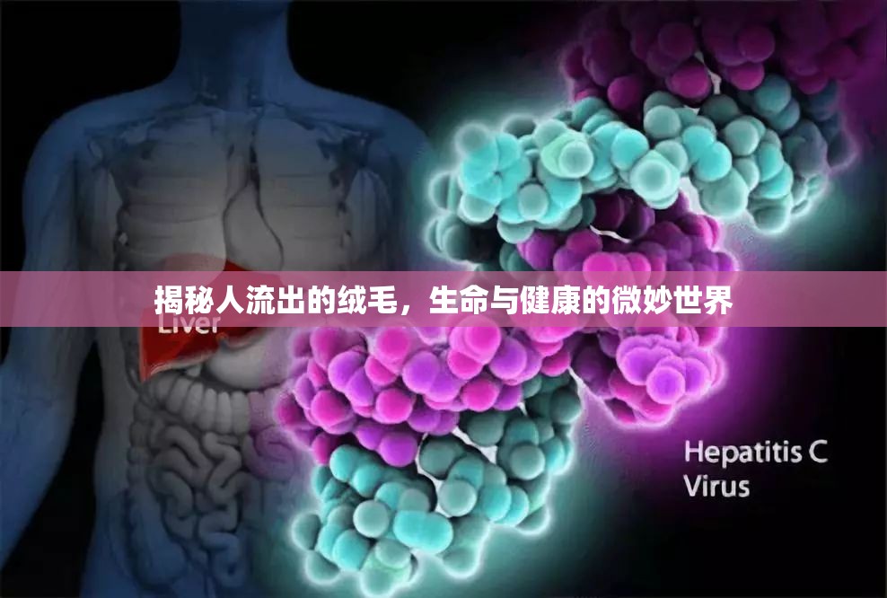 揭秘人流出的絨毛，生命與健康的微妙世界