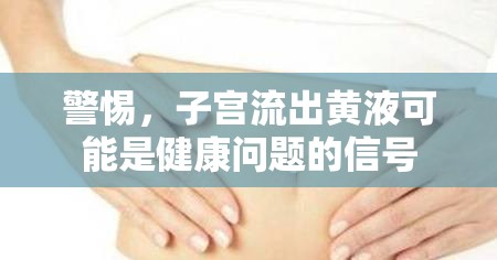 警惕，子宮流出黃液可能是健康問題的信號(hào)