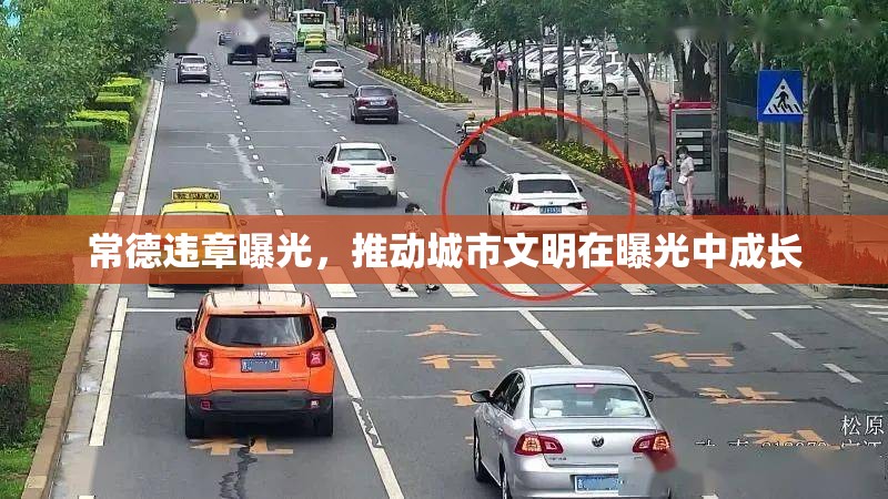 常德違章曝光，推動城市文明在曝光中成長