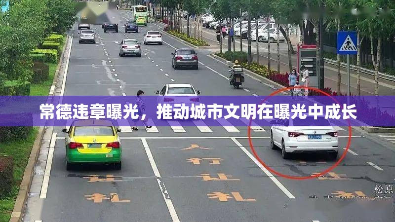 常德違章曝光，推動城市文明在曝光中成長
