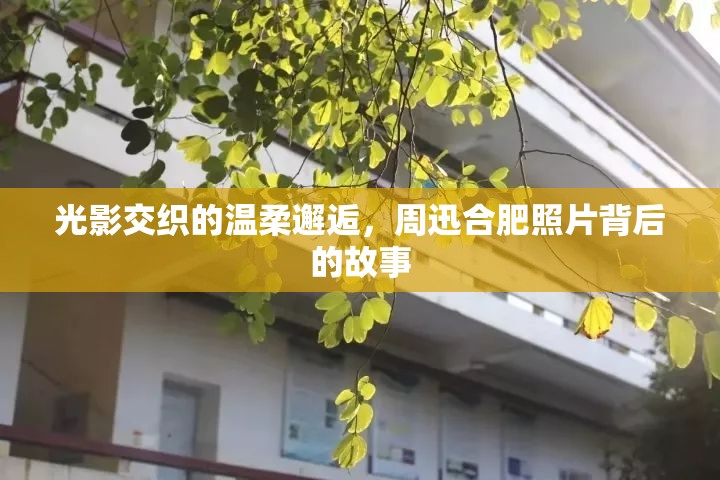 光影交織的溫柔邂逅，周迅合肥照片背后的故事