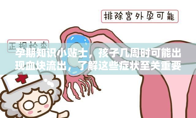 孕期知識(shí)小貼士，孩子幾周時(shí)可能出現(xiàn)血塊流出，了解這些癥狀至關(guān)重要