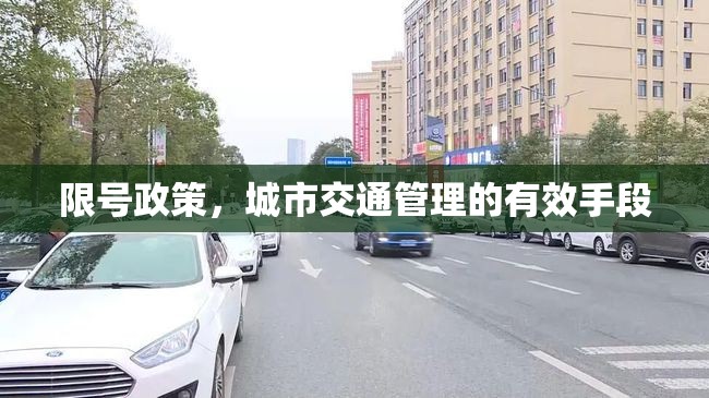 限號政策，城市交通管理的有效手段