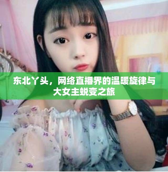 東北丫頭，網絡直播界的溫暖旋律與大女主蛻變之旅