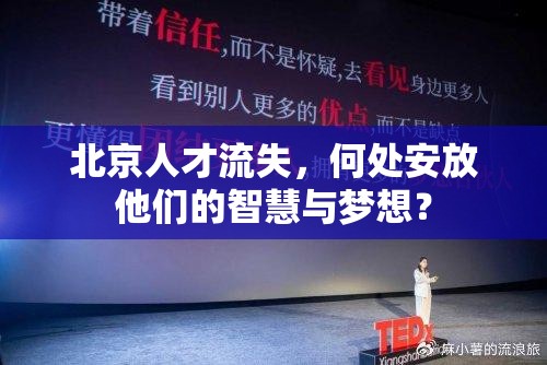 北京人才流失，何處安放他們的智慧與夢(mèng)想？
