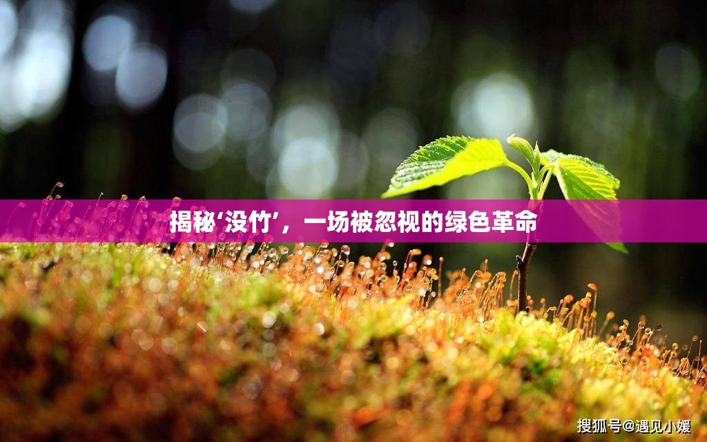 揭秘‘沒(méi)竹’，一場(chǎng)被忽視的綠色革命