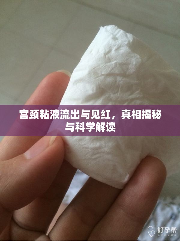 宮頸粘液流出與見紅，真相揭秘與科學解讀