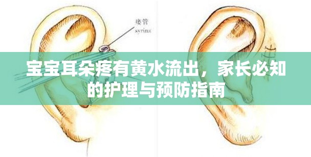 寶寶耳朵疼有黃水流出，家長(zhǎng)必知的護(hù)理與預(yù)防指南