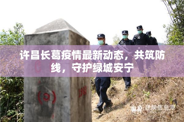 許昌長葛疫情最新動態(tài)，共筑防線，守護綠城安寧