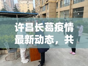 許昌長葛疫情最新動態(tài)，共筑防線，守護綠城安寧