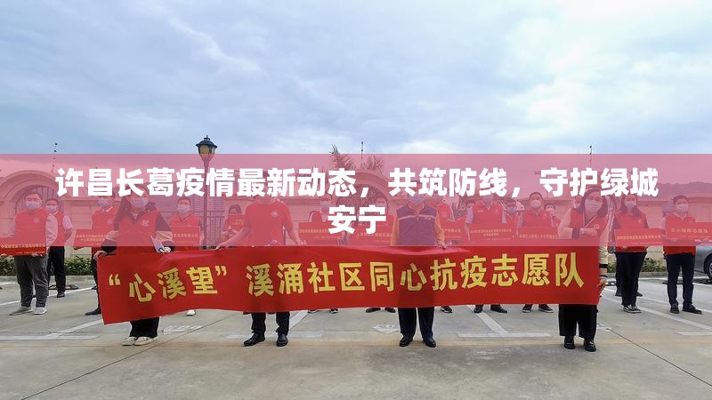 許昌長葛疫情最新動態(tài)，共筑防線，守護綠城安寧