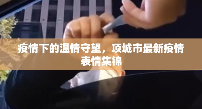 疫情下的溫情守望，項城市最新疫情表情集錦