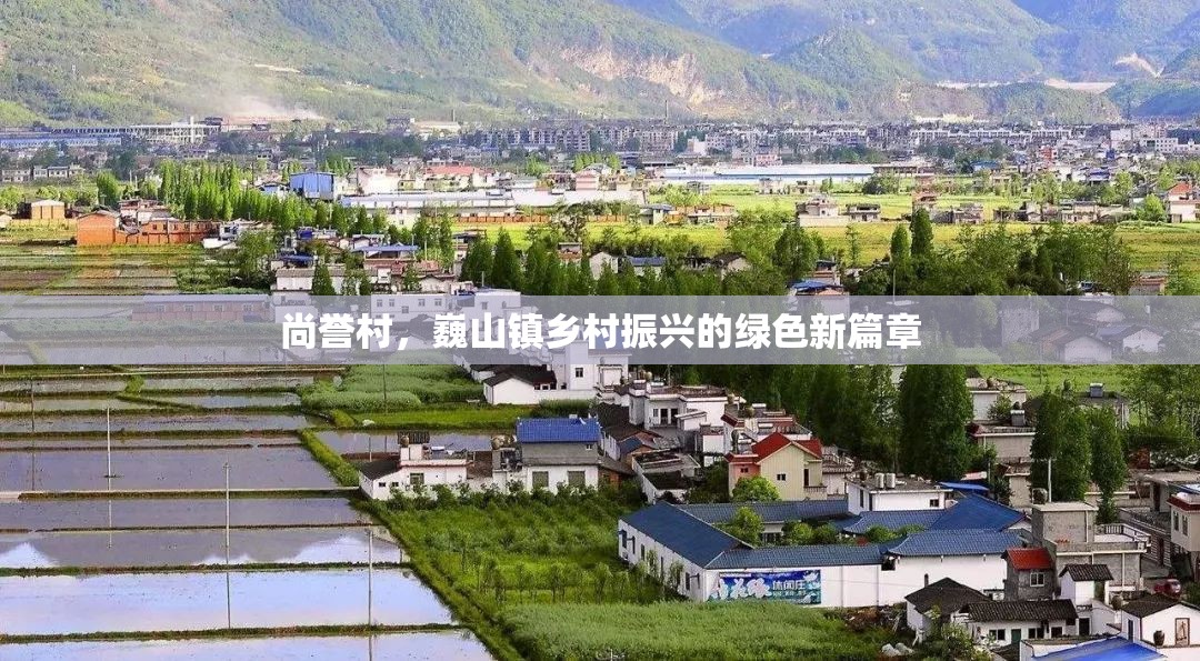 尚譽(yù)村，巍山鎮(zhèn)鄉(xiāng)村振興的綠色新篇章