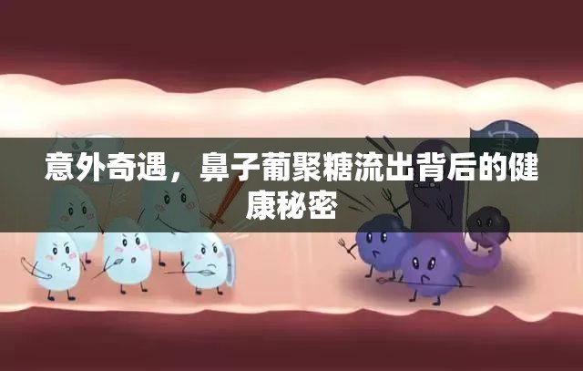 意外奇遇，鼻子葡聚糖流出背后的健康秘密