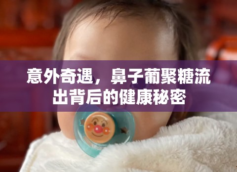 意外奇遇，鼻子葡聚糖流出背后的健康秘密