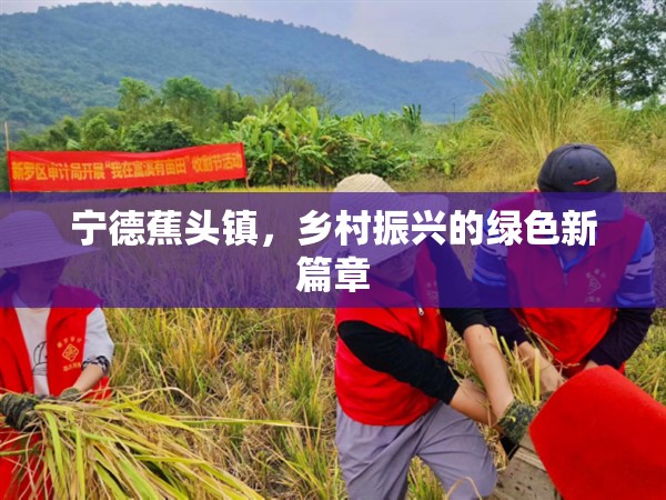 寧德蕉頭鎮(zhèn)，鄉(xiāng)村振興的綠色新篇章