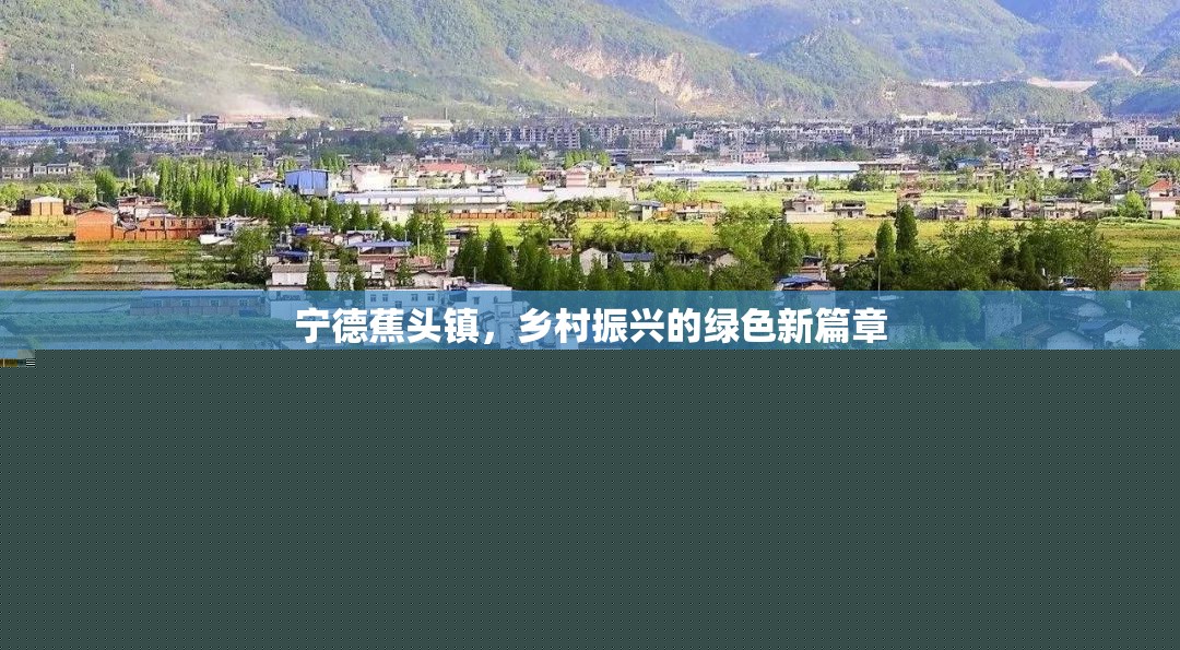 寧德蕉頭鎮(zhèn)，鄉(xiāng)村振興的綠色新篇章