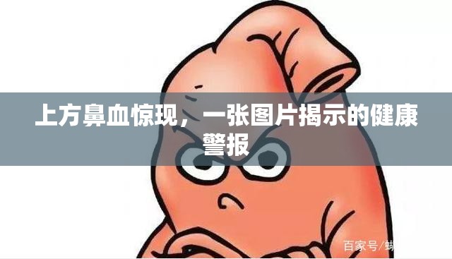 上方鼻血驚現(xiàn)，一張圖片揭示的健康警報(bào)