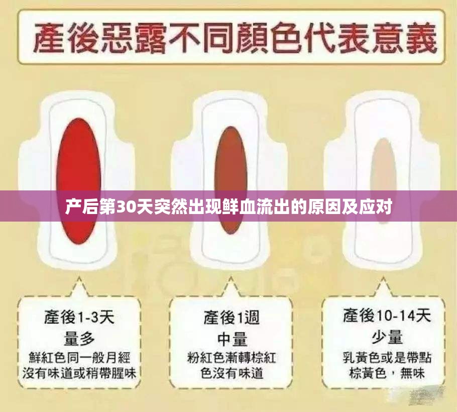 產(chǎn)后第30天突然出現(xiàn)鮮血流出的原因及應(yīng)對