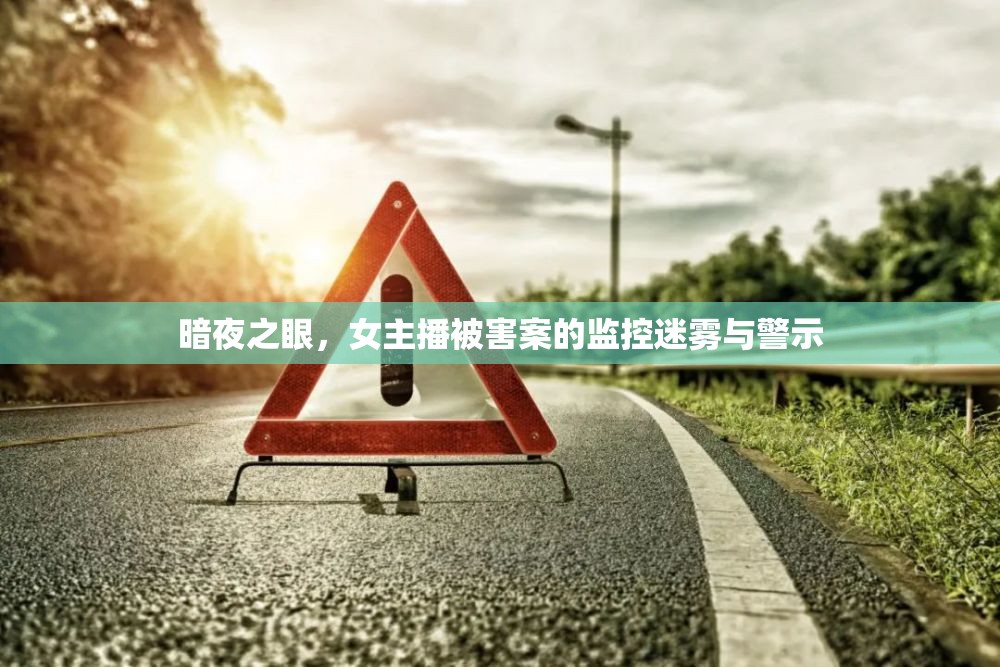 暗夜之眼，女主播被害案的監(jiān)控迷霧與警示
