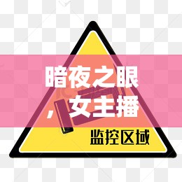 暗夜之眼，女主播被害案的監(jiān)控迷霧與警示