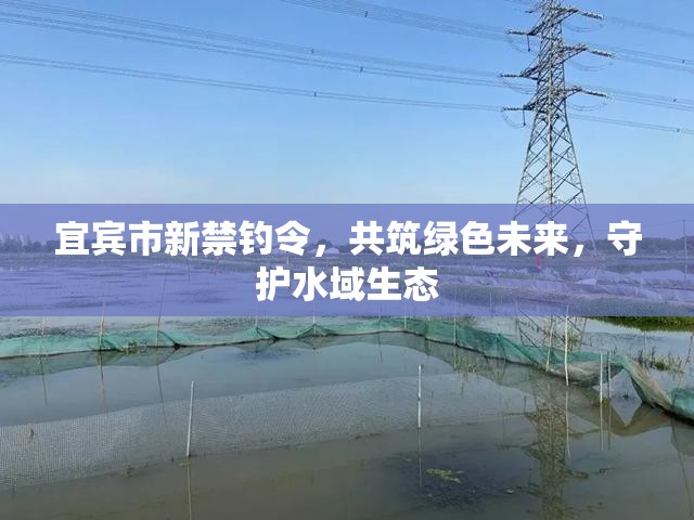 宜賓市新禁釣令，共筑綠色未來，守護水域生態(tài)