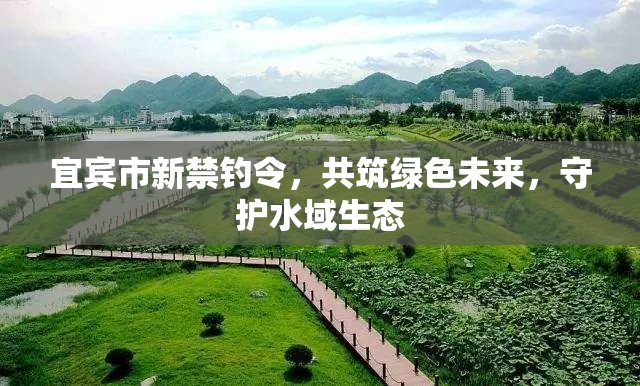 宜賓市新禁釣令，共筑綠色未來，守護水域生態(tài)