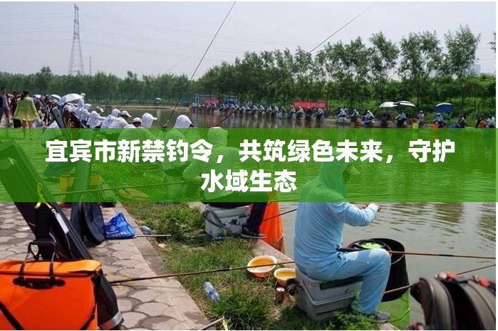 宜賓市新禁釣令，共筑綠色未來，守護水域生態(tài)