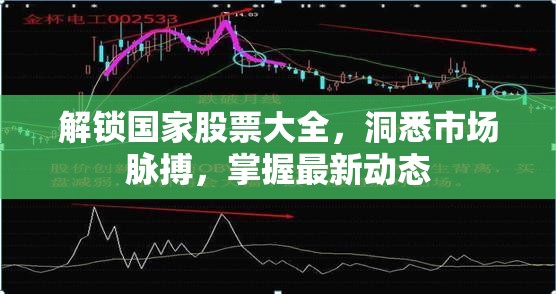 解鎖國(guó)家股票大全，洞悉市場(chǎng)脈搏，掌握最新動(dòng)態(tài)
