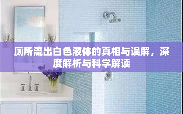 廁所流出白色液體的真相與誤解，深度解析與科學解讀