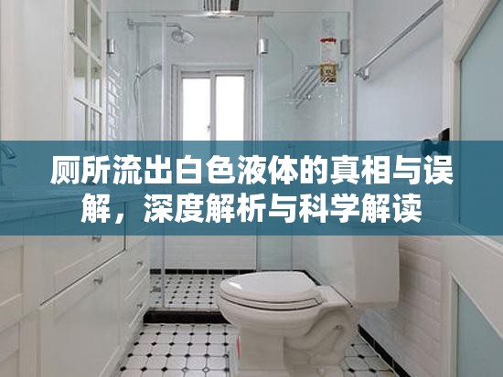 廁所流出白色液體的真相與誤解，深度解析與科學解讀