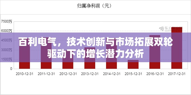 百利電氣，技術(shù)創(chuàng)新與市場(chǎng)拓展雙輪驅(qū)動(dòng)下的增長(zhǎng)潛力分析