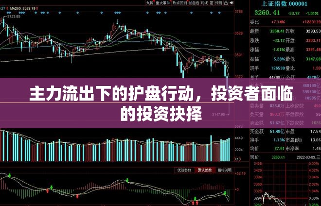 主力流出下的護(hù)盤(pán)行動(dòng)，投資者面臨的投資抉擇